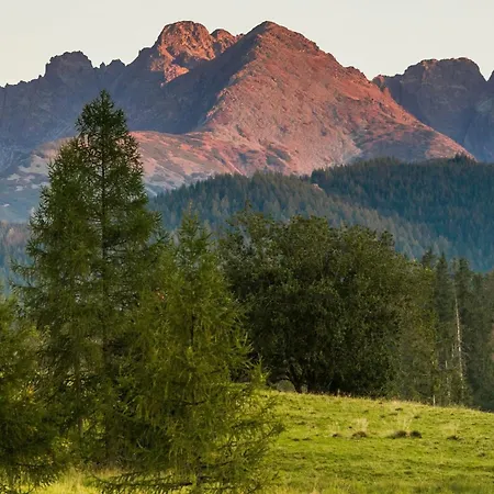 Rent Like - Zoniowka * Zakopane